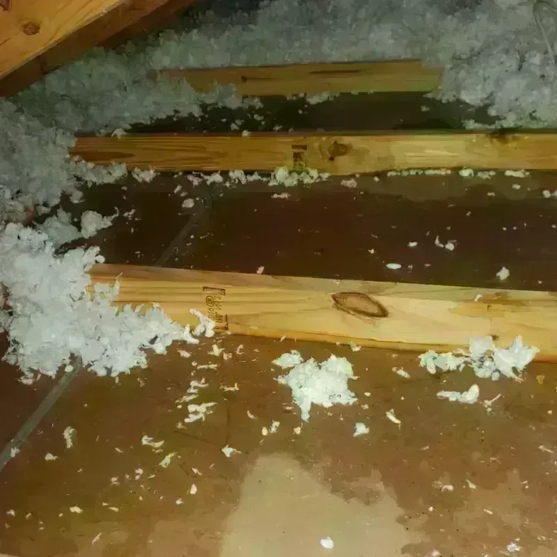 Attic Water Damage in Fayetteville, AL