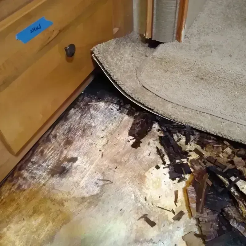 Best Wood Floor Water Damage Service in Fayetteville, AL